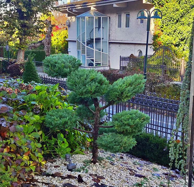 Gepflegte Gartenfläche mit Rasen und Pflanzen