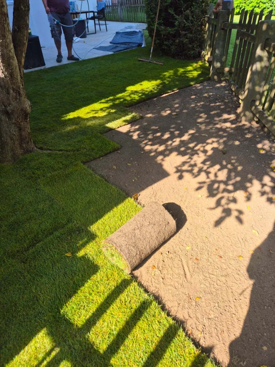 Frisch verlegter Rasen im Garten